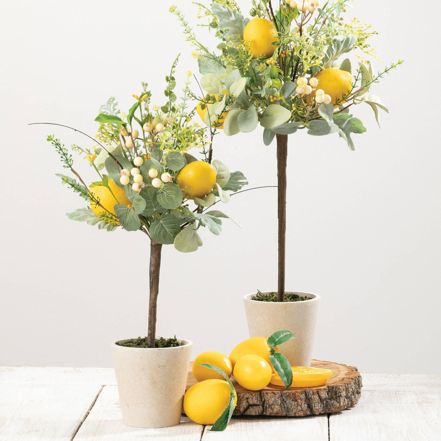 Lemon Herb Topiary Set of 2