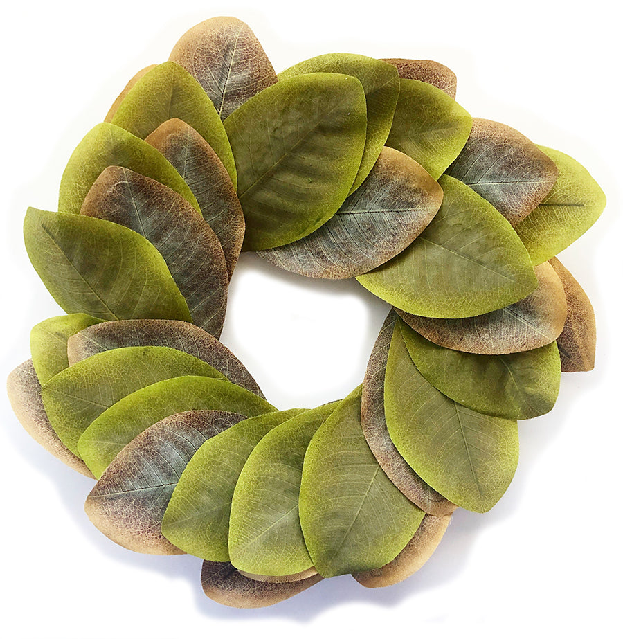 Magnolia Everyday Wreath | Modern 14" Wreath