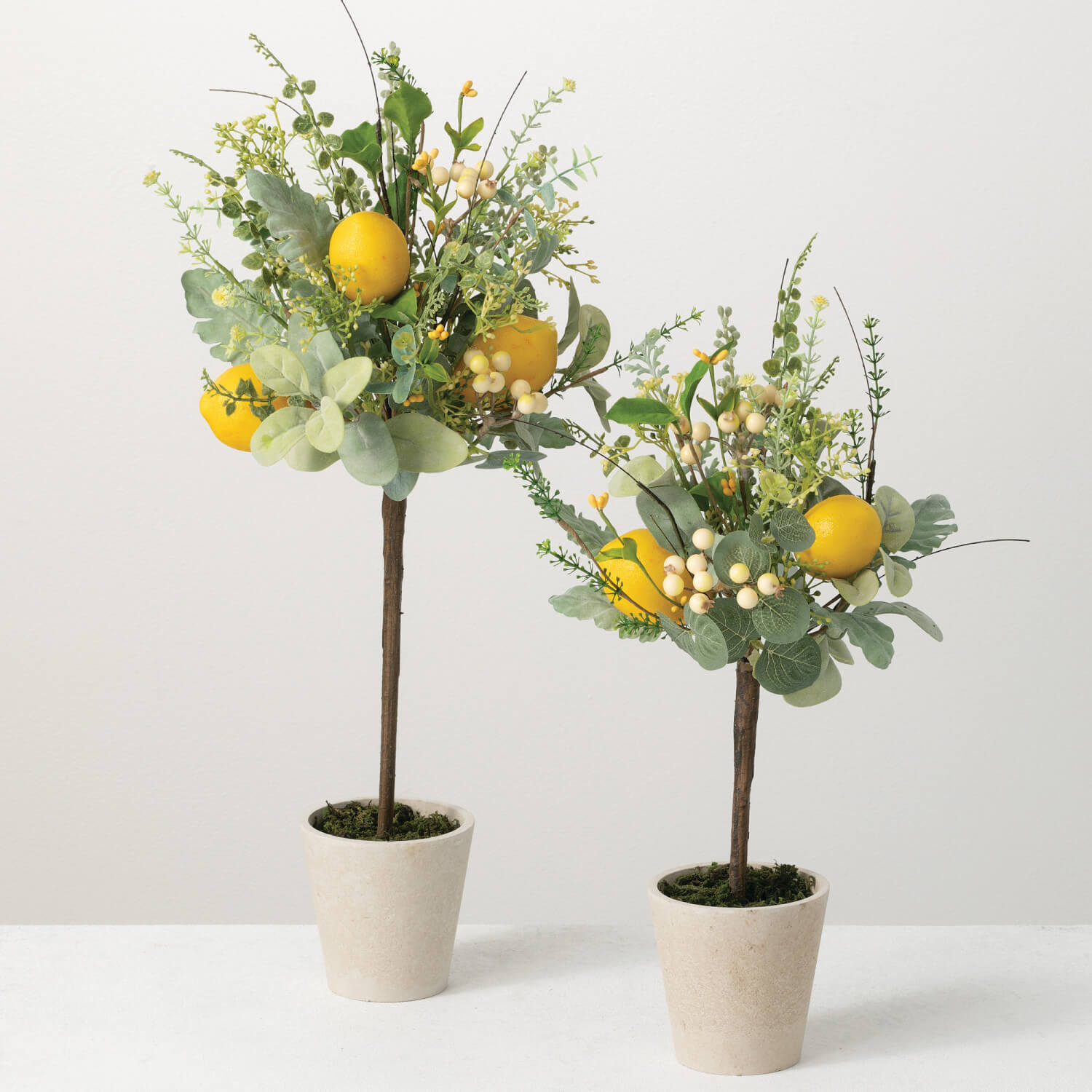 Lemon Herb Topiary Set of 2